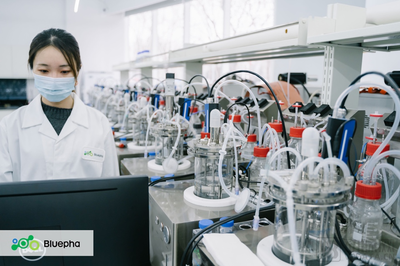 【首發(fā)】藍(lán)晶微生物完成累計(jì)15億人民幣B系列融資,加速落地「T型」發(fā)展戰(zhàn)略