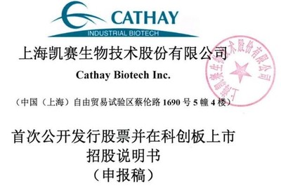 凱賽生物IPO:存在安全生產(chǎn)風(fēng)險(xiǎn),曾深陷專(zhuān)利糾紛,票據(jù)流轉(zhuǎn)、轉(zhuǎn)貸等違規(guī)不斷