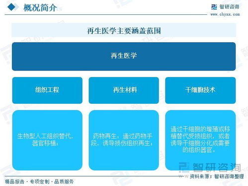 再生醫學行業前景如何 先進醫療技術需求增長,全球市場規模加速擴容
